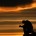 Humility and Politics I am America KRISTA BRANCH MUSIC VIDEO If My people who are called by My name will humble themselves, and pray and seek My face, and turn from...